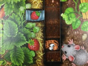 Spieletipp: "Da ist der Wurm drin" von Zoch, Erdbeere falsch platziert